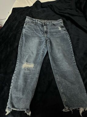 American Eagle Outfitters High-Rise Distressed Blue Jeans